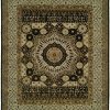 Tan and Ivory Border with Dark Java Brown Field area rug